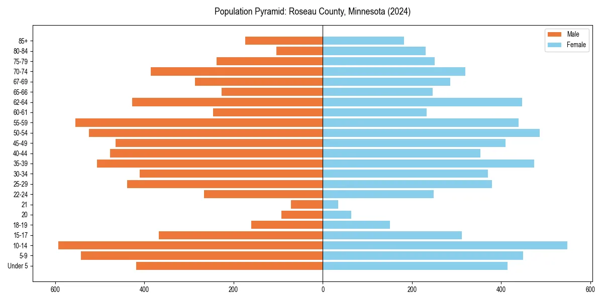 Population pyramid for 