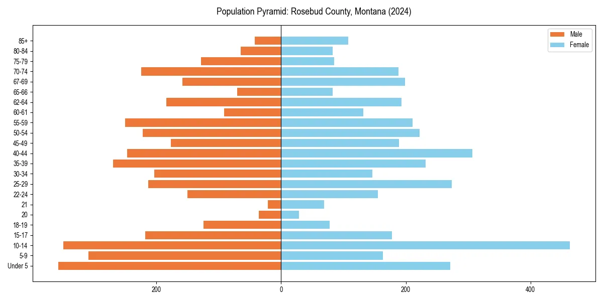Population pyramid for 
