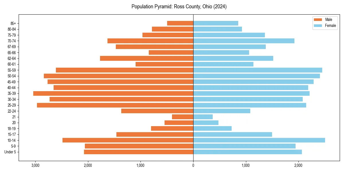 Population pyramid for 