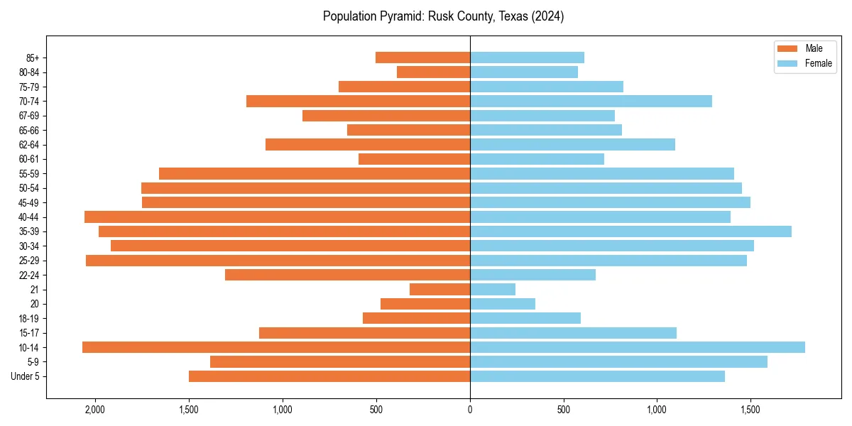 Population pyramid for 