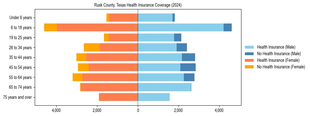 Health insurance pyramid for Rusk County, Texas