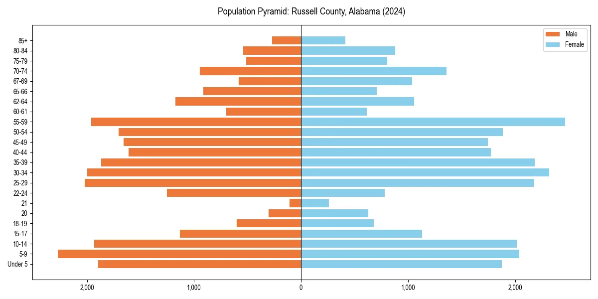 Population pyramid for 