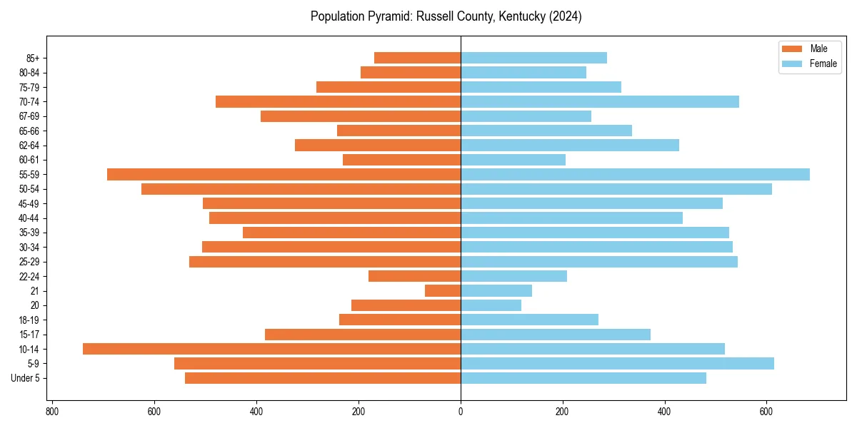 Population pyramid for 