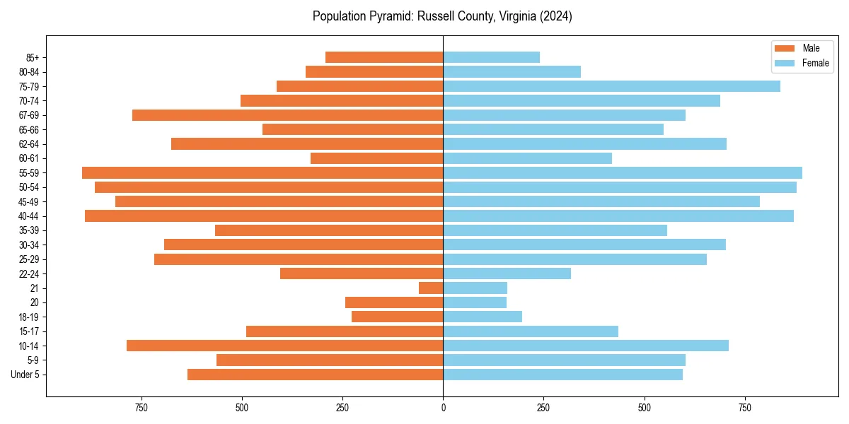 Population pyramid for 
