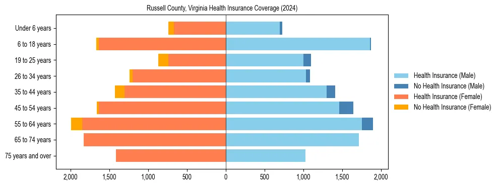 Health insurance pyramid for Russell County, Virginia