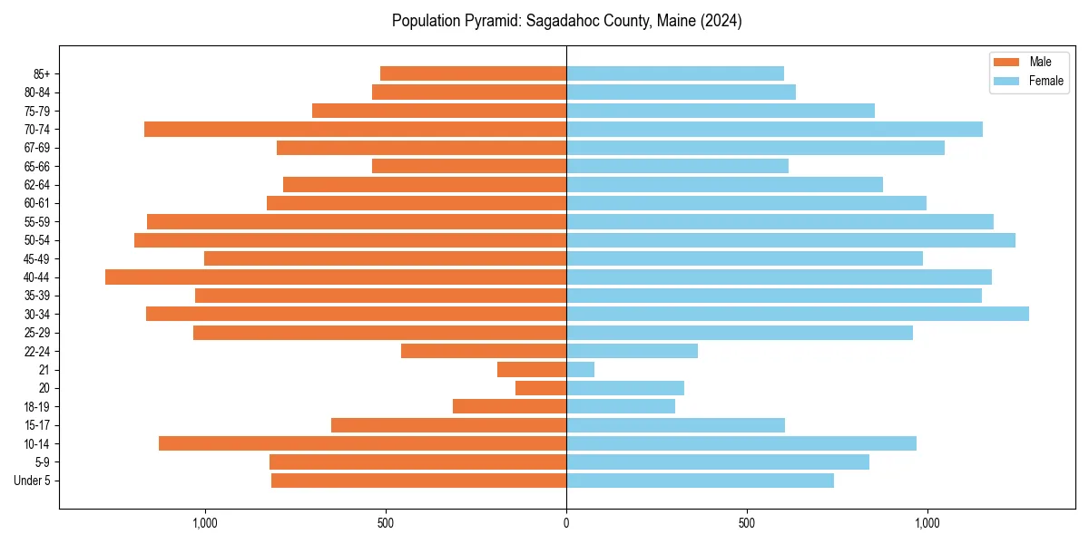 Population pyramid for 