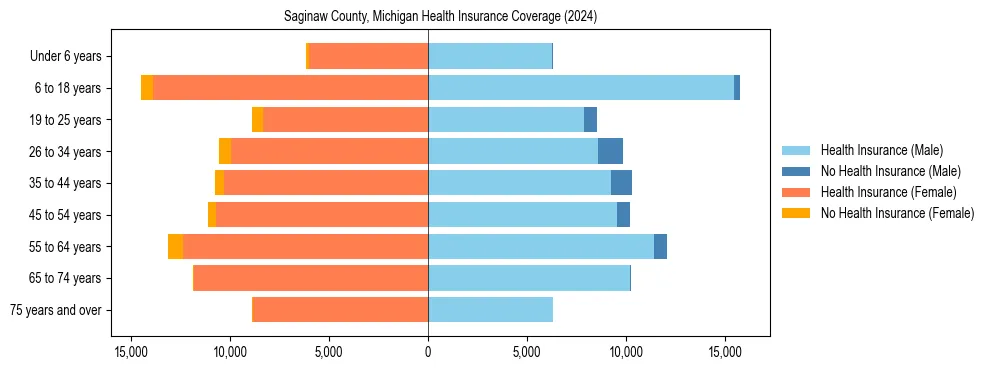 Health insurance pyramid for Saginaw County, Michigan