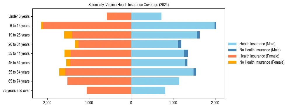 Health insurance pyramid for Salem city, Virginia