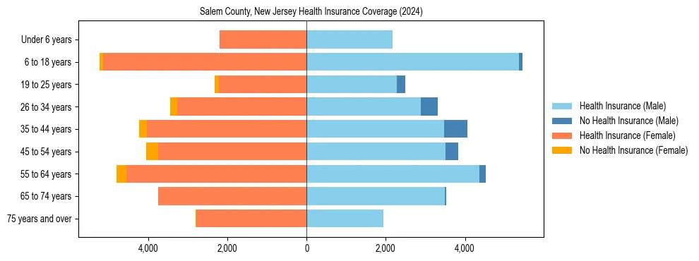 Health insurance pyramid for Salem County, New Jersey