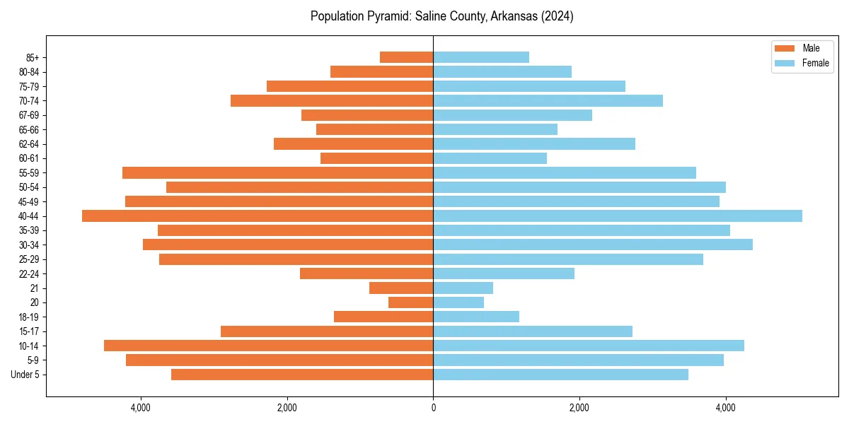Population pyramid for 
