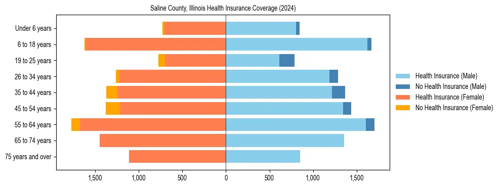 Health insurance pyramid for Saline County, Illinois