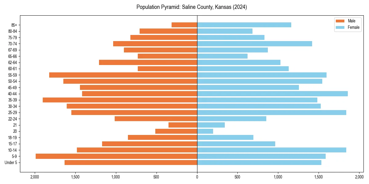Population pyramid for 