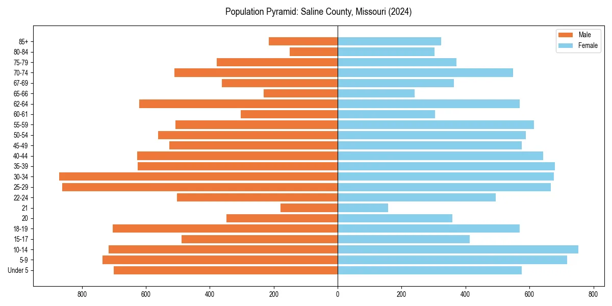Population pyramid for 