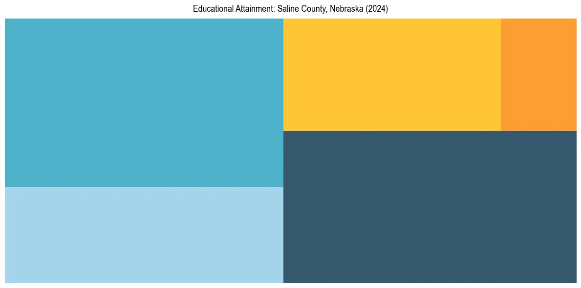 Education Treemap for  in 2024