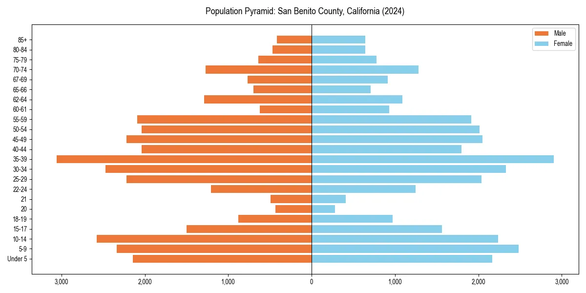 Population pyramid for 