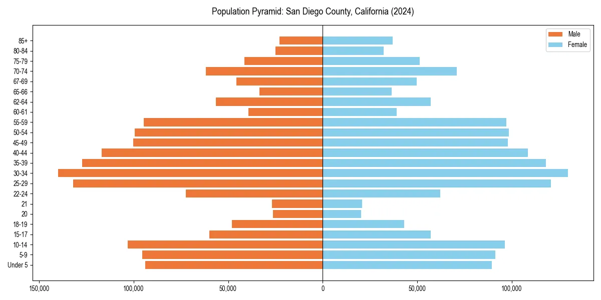 Population pyramid for 