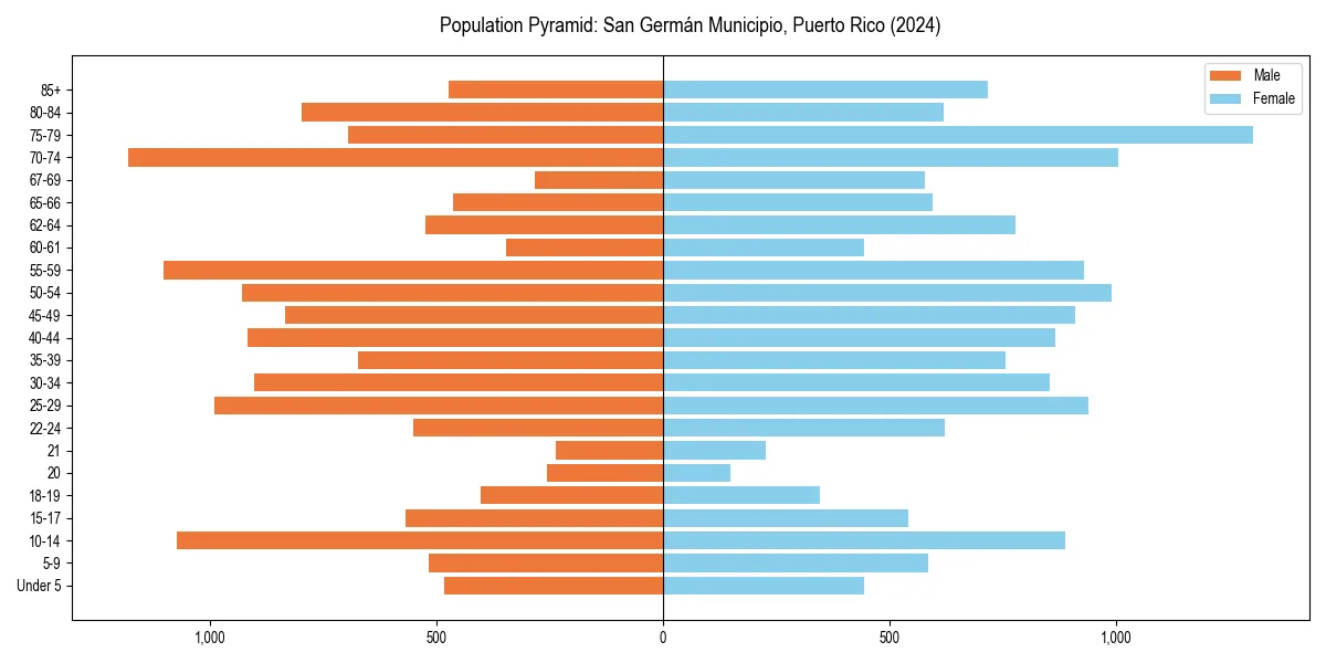 Population pyramid for 