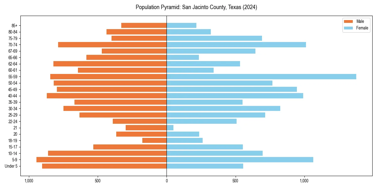 Population pyramid for 