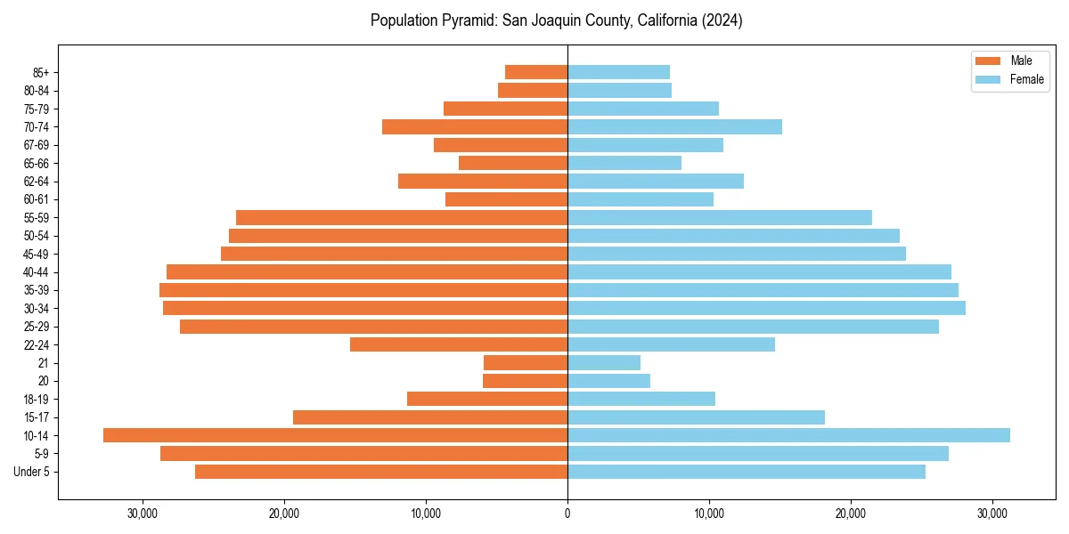 Population pyramid for 
