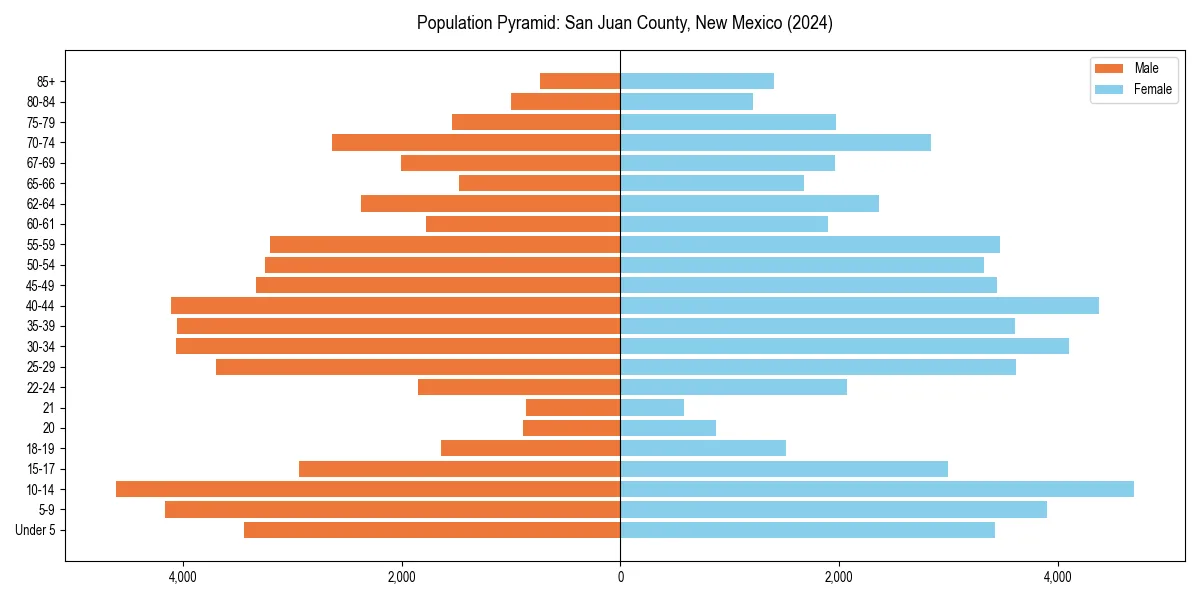 Population pyramid for 