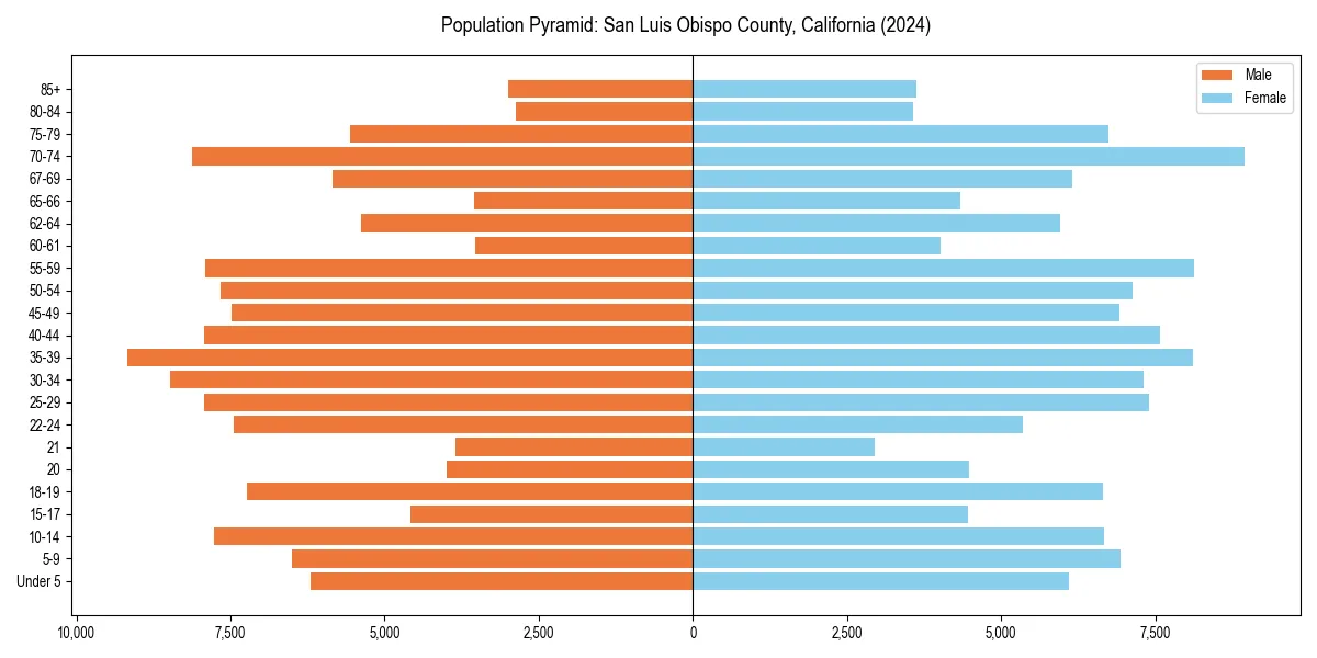Population pyramid for 