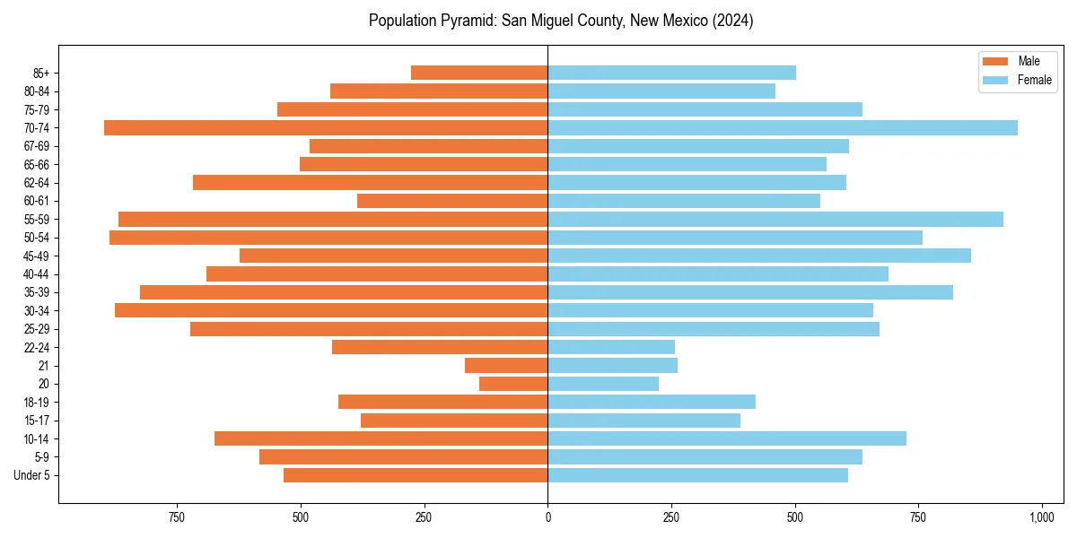 Population pyramid for