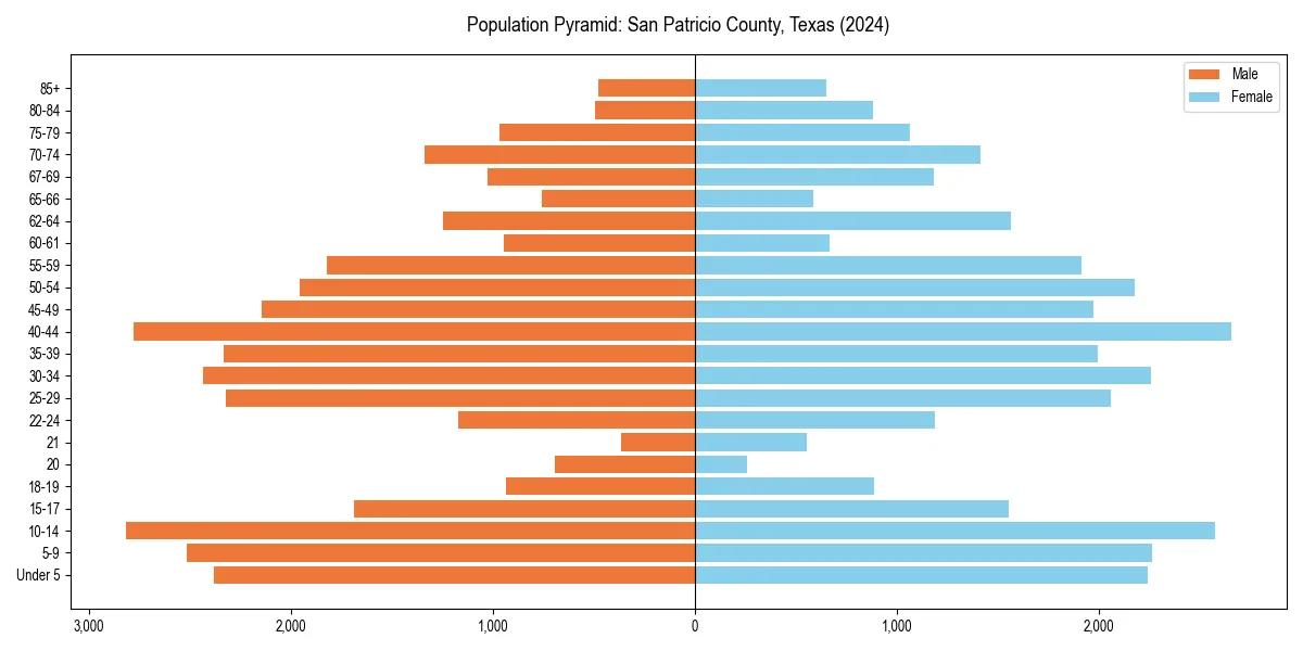 Population pyramid for 