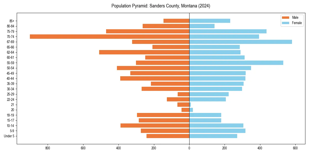 Population pyramid for 