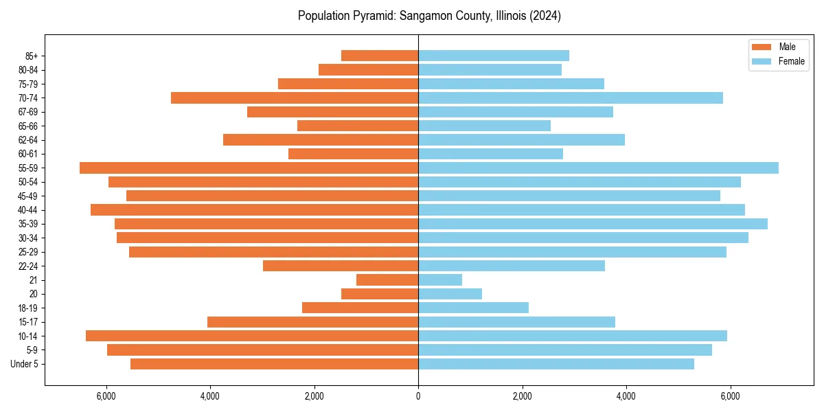 Population pyramid for 
