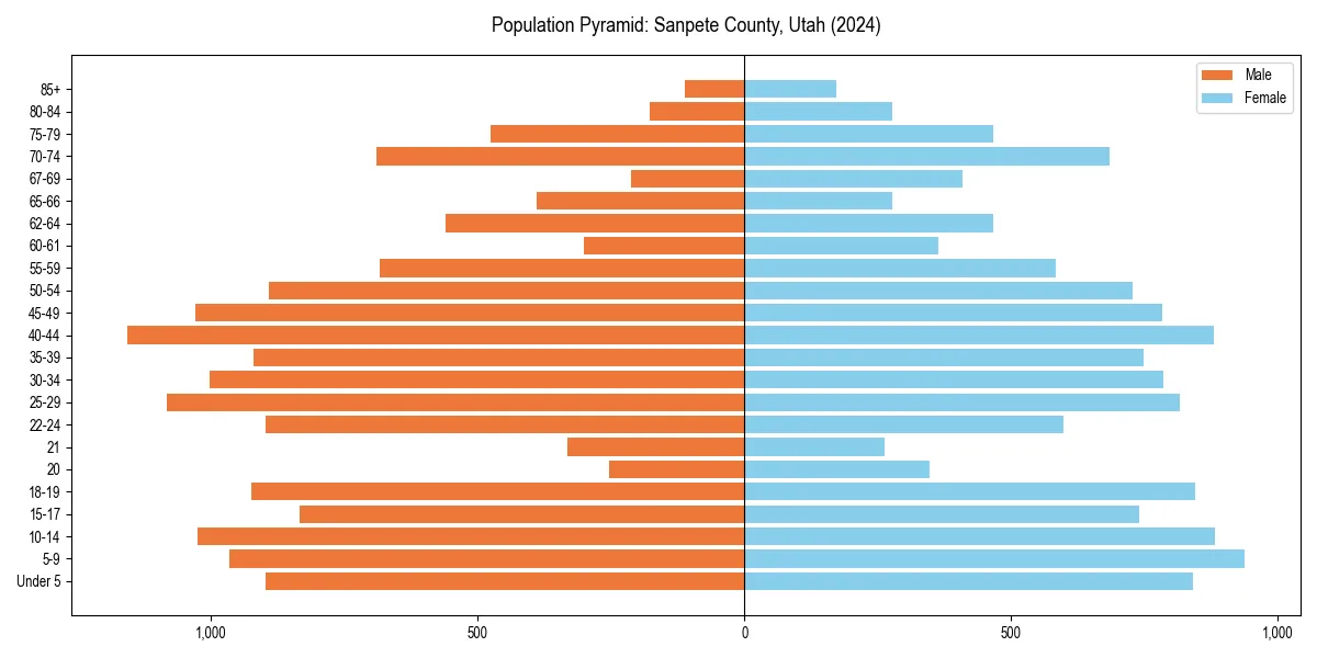 Population pyramid for 