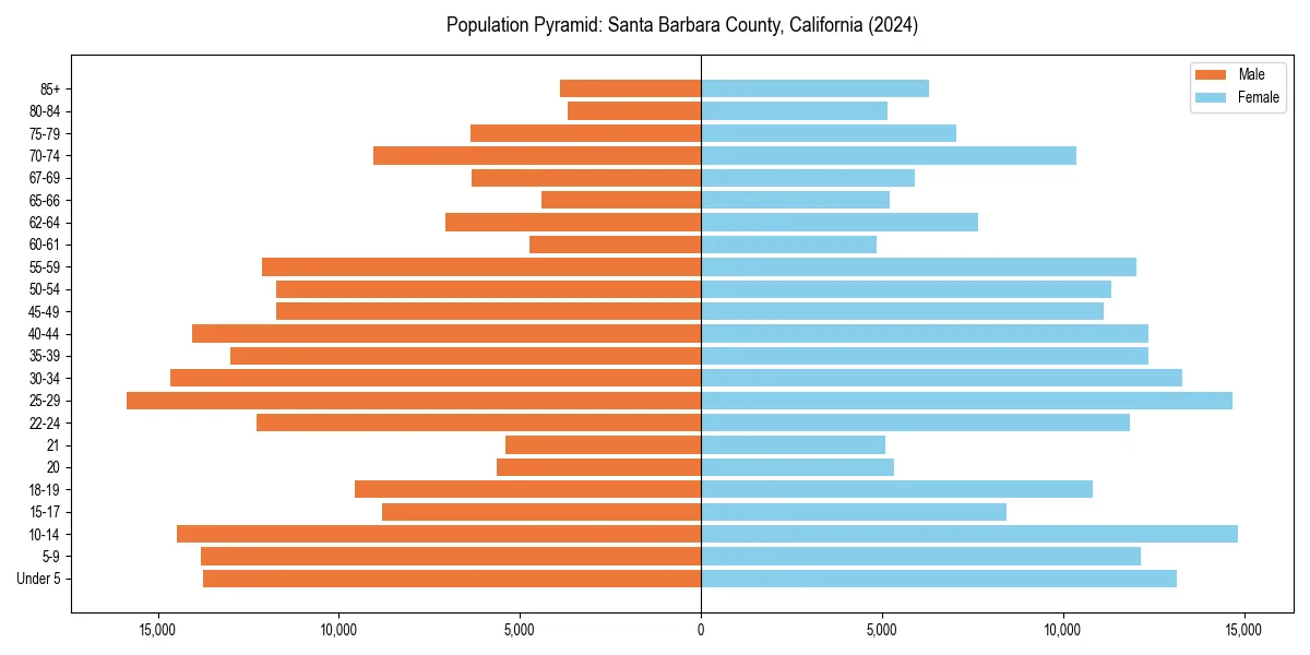 Population pyramid for 