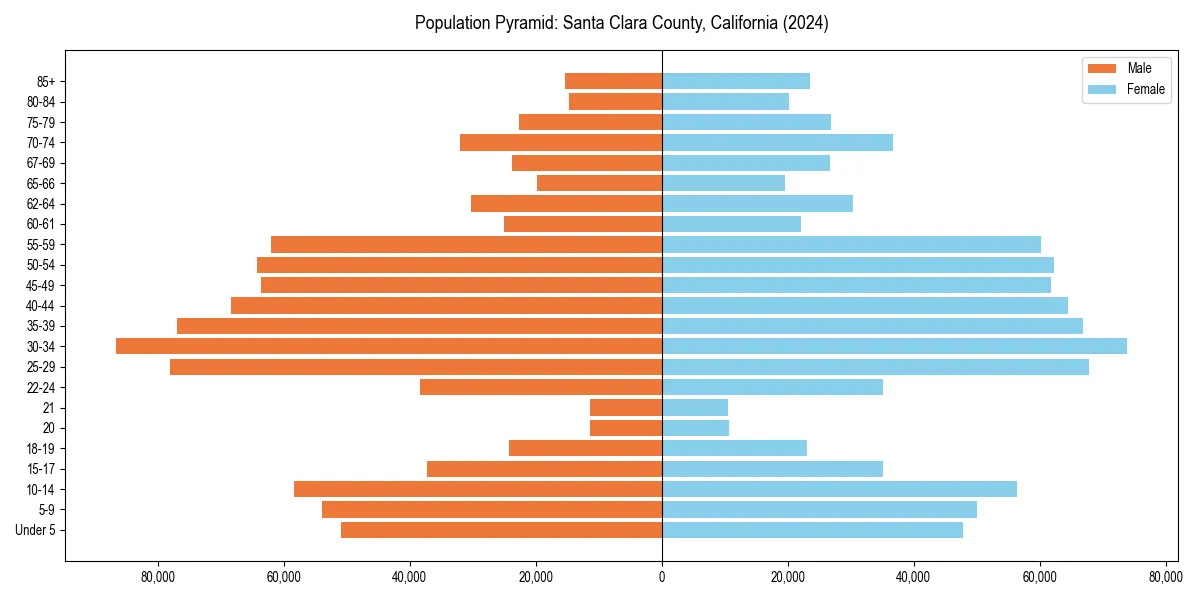 Population pyramid for 