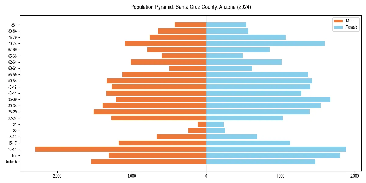 Population pyramid for 