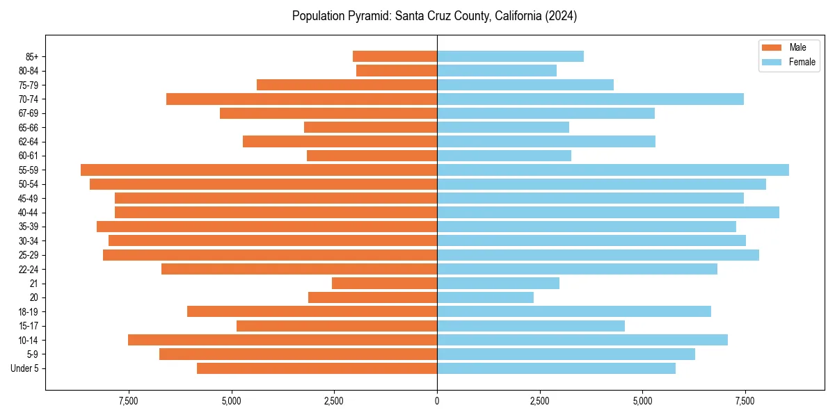 Population pyramid for 