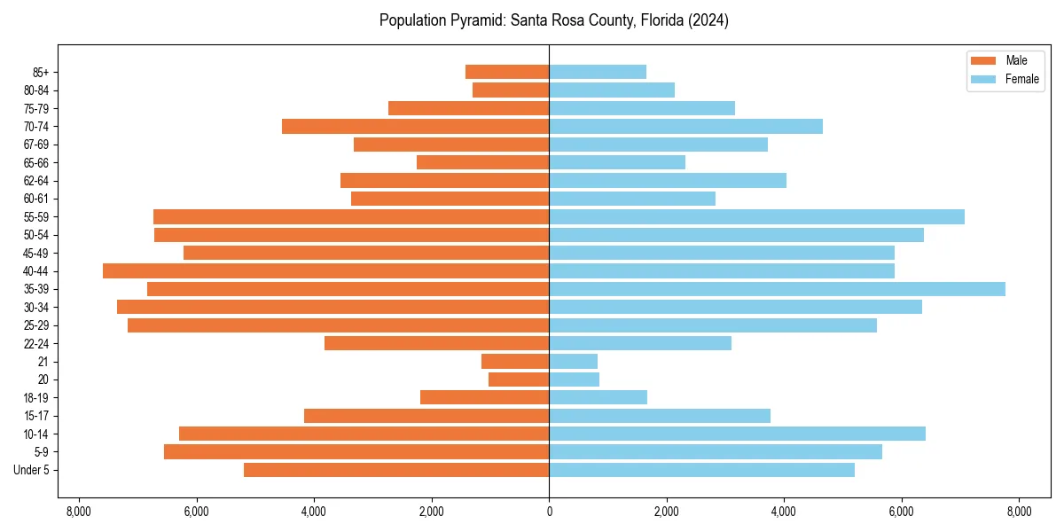 Population pyramid for 