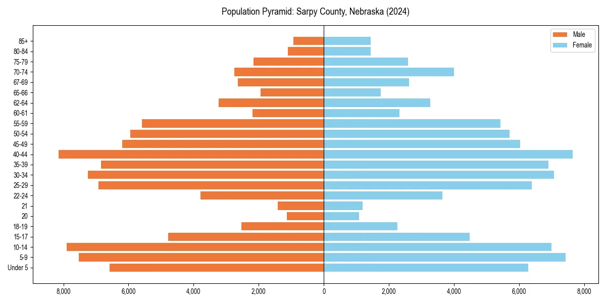 Population pyramid for 
