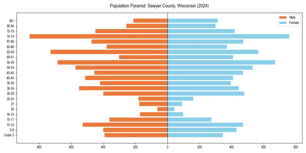 Population pyramid for 