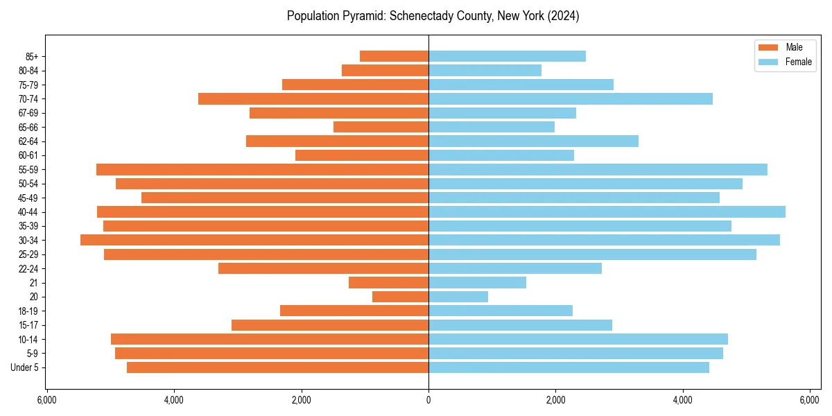 Population pyramid for 