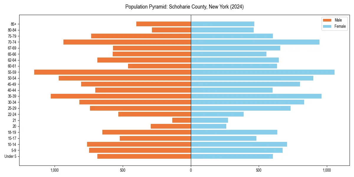 Population pyramid for 