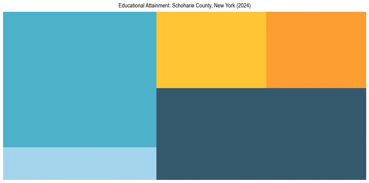 Education Treemap for  in 2024