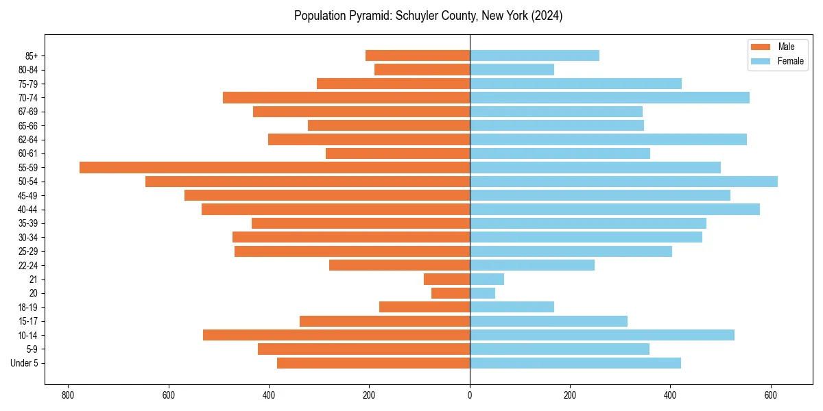 Population pyramid for 