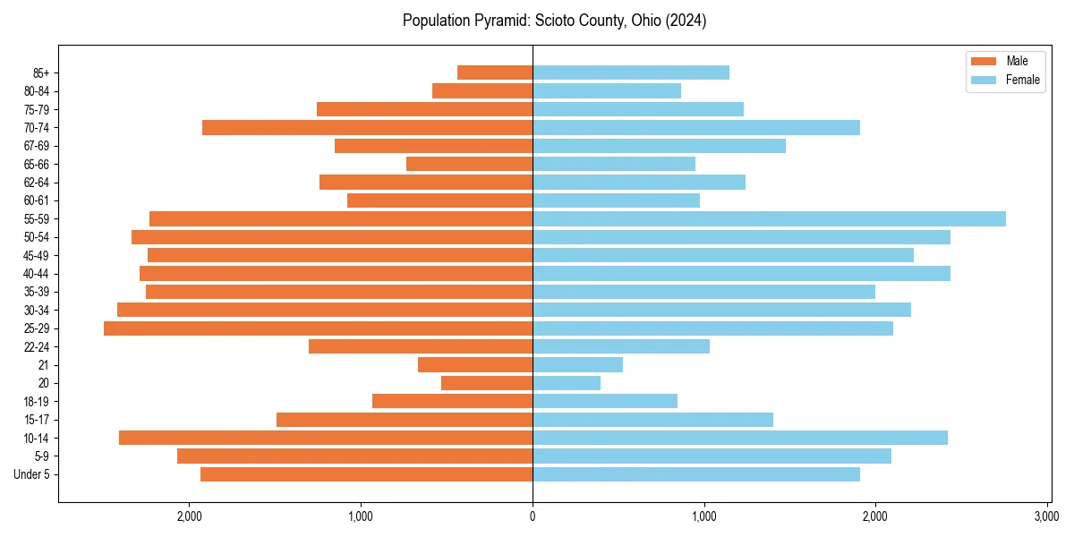 Population pyramid for 