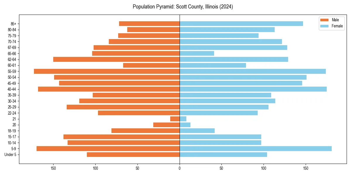 Population pyramid for 
