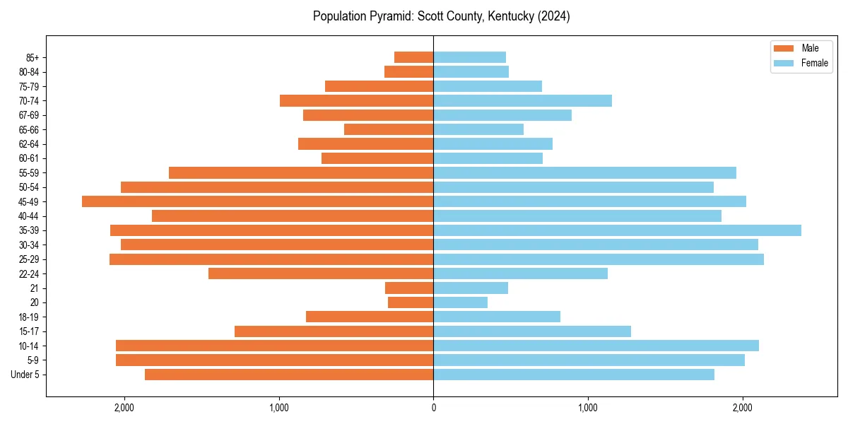 Population pyramid for 