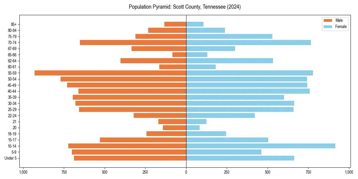 Population pyramid for 