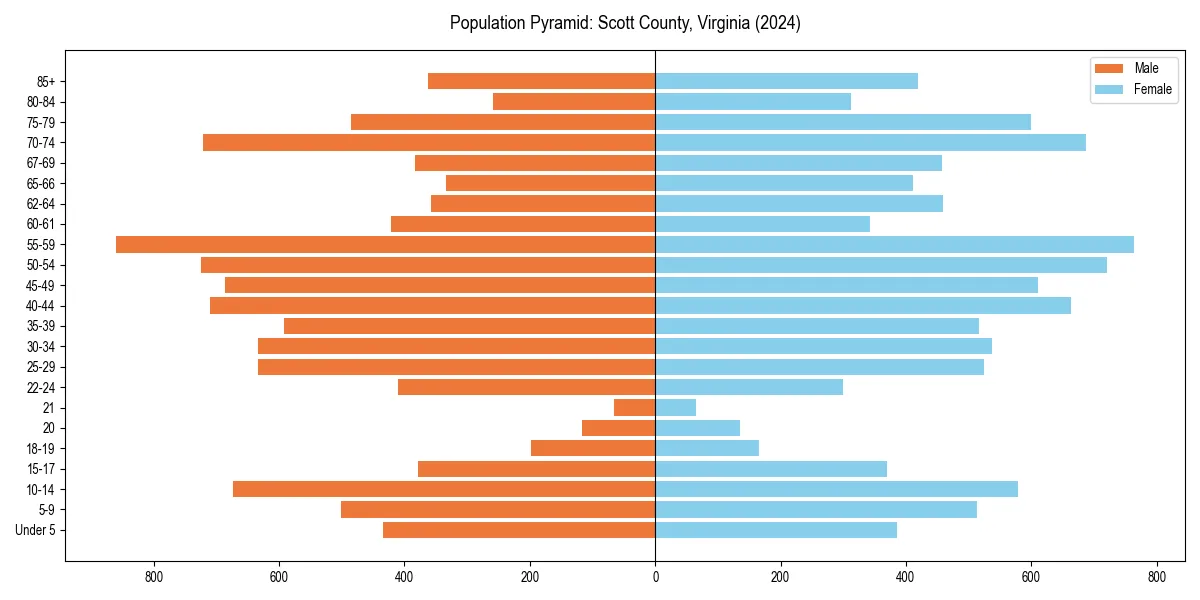 Population pyramid for 