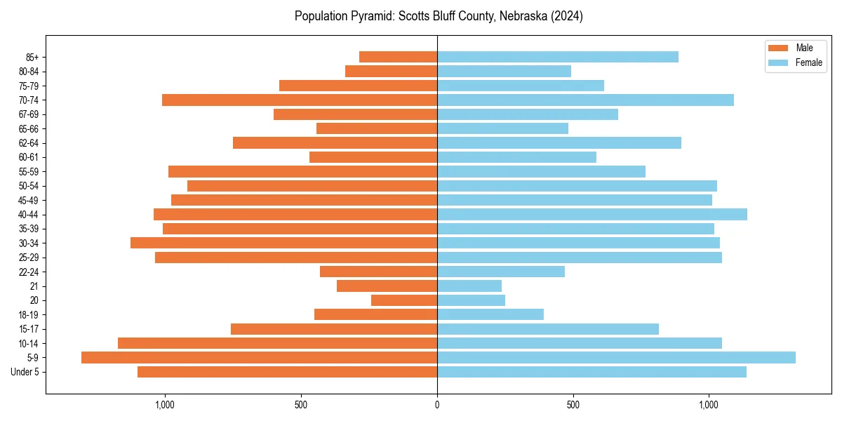Population pyramid for 