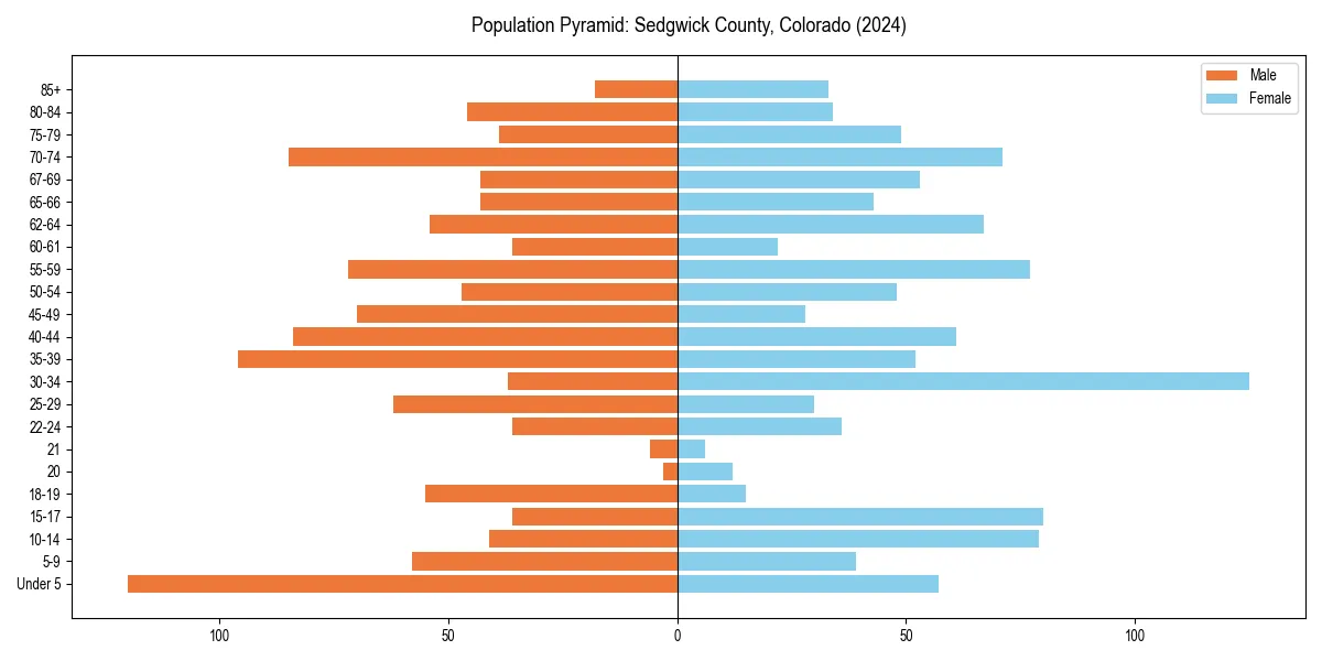 Population pyramid for 