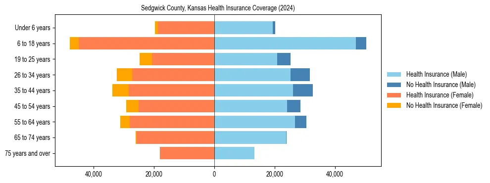 Health insurance pyramid for Sedgwick County, Kansas