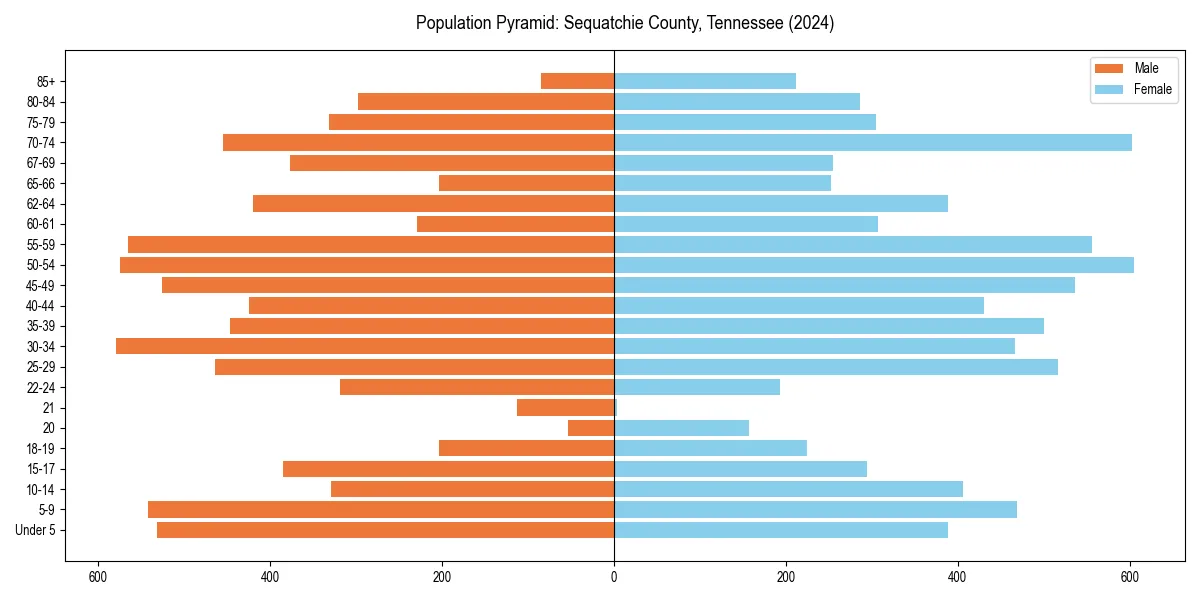Population pyramid for 